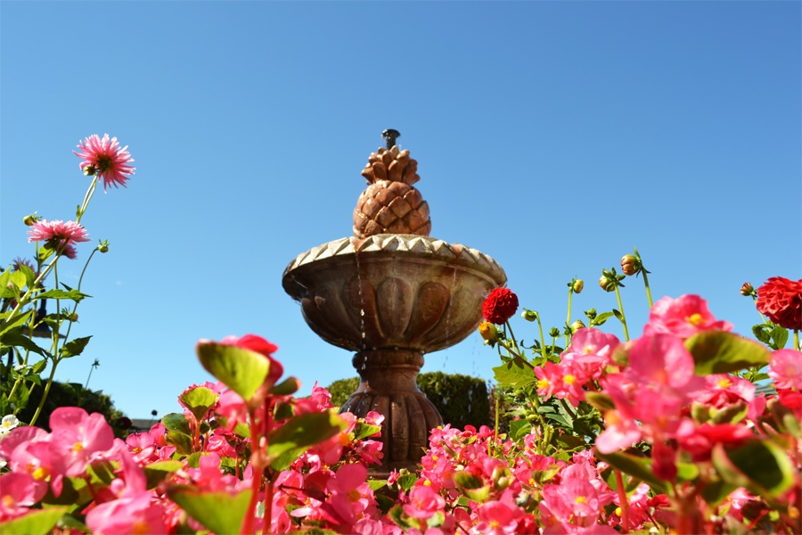 Water fountain with flowers around
